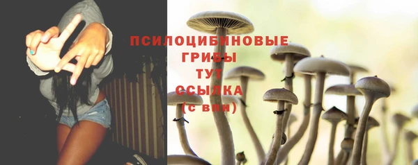 крисы Балабаново